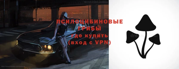 МДПВ Гусиноозёрск