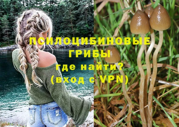 дурь Гусев