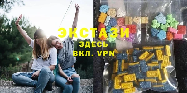 дурь Гусев