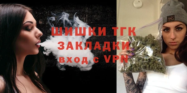 хмурый Дмитров