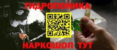 Альфа ПВП Новодвинск