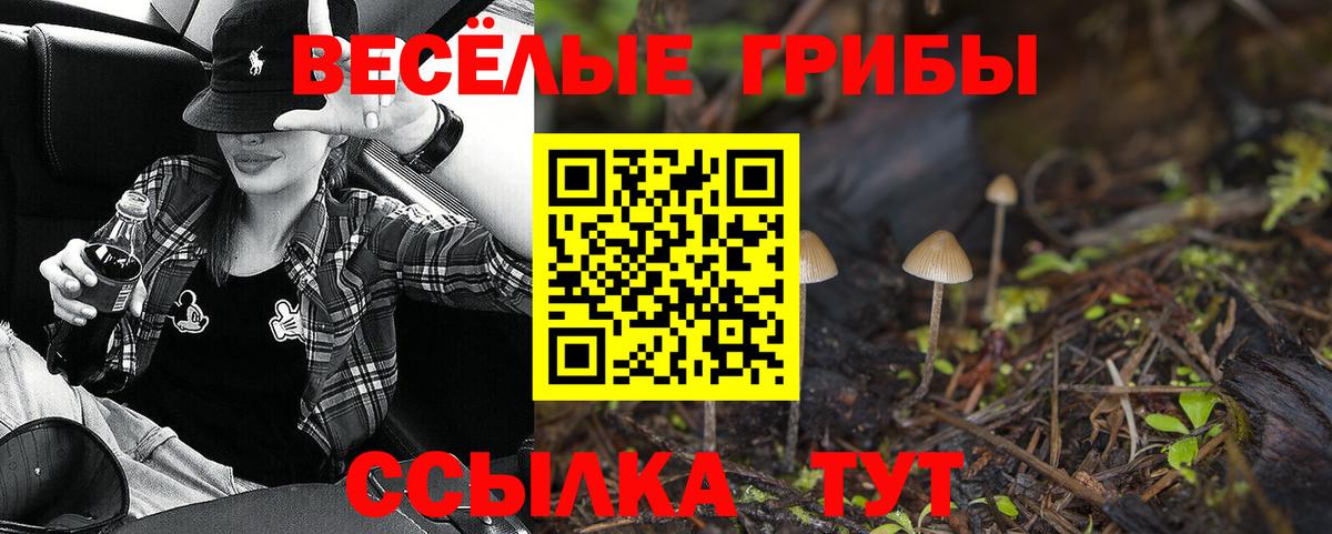 Краснотурьинск  где купить   Вход с VPN  Псилоцибиновые грибы GOLDEN TEACHER 